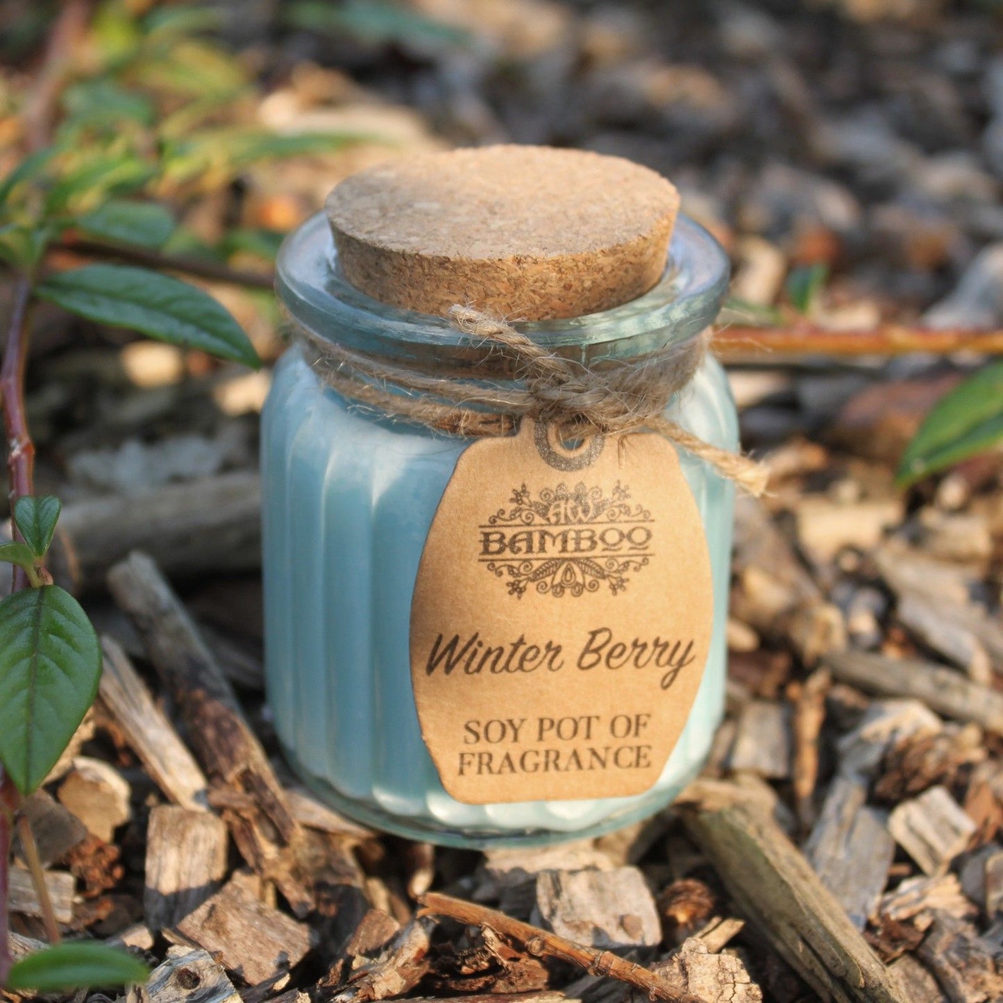 Vela Aromática de Cera de Soja – Ecológica, Natural y de Larga Duración - Baya de Invierno