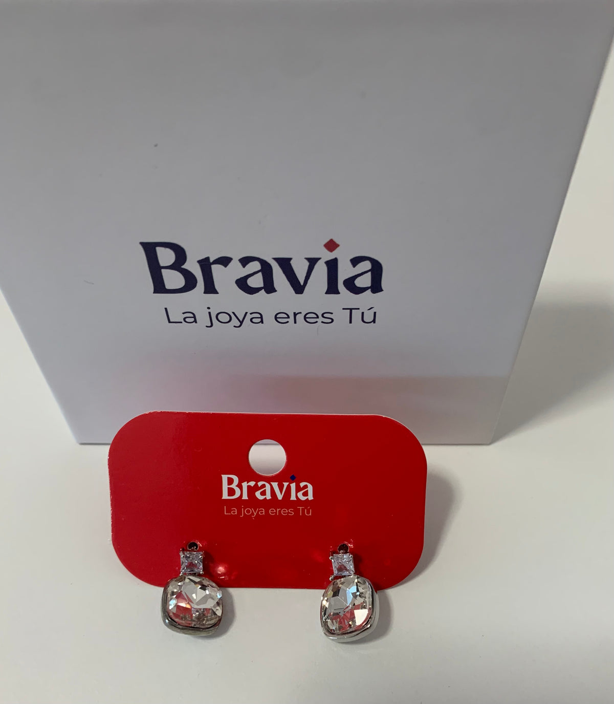 Pendientes Plateados Pequeños con Brillantes – Diseño Cuadrado Redondeado