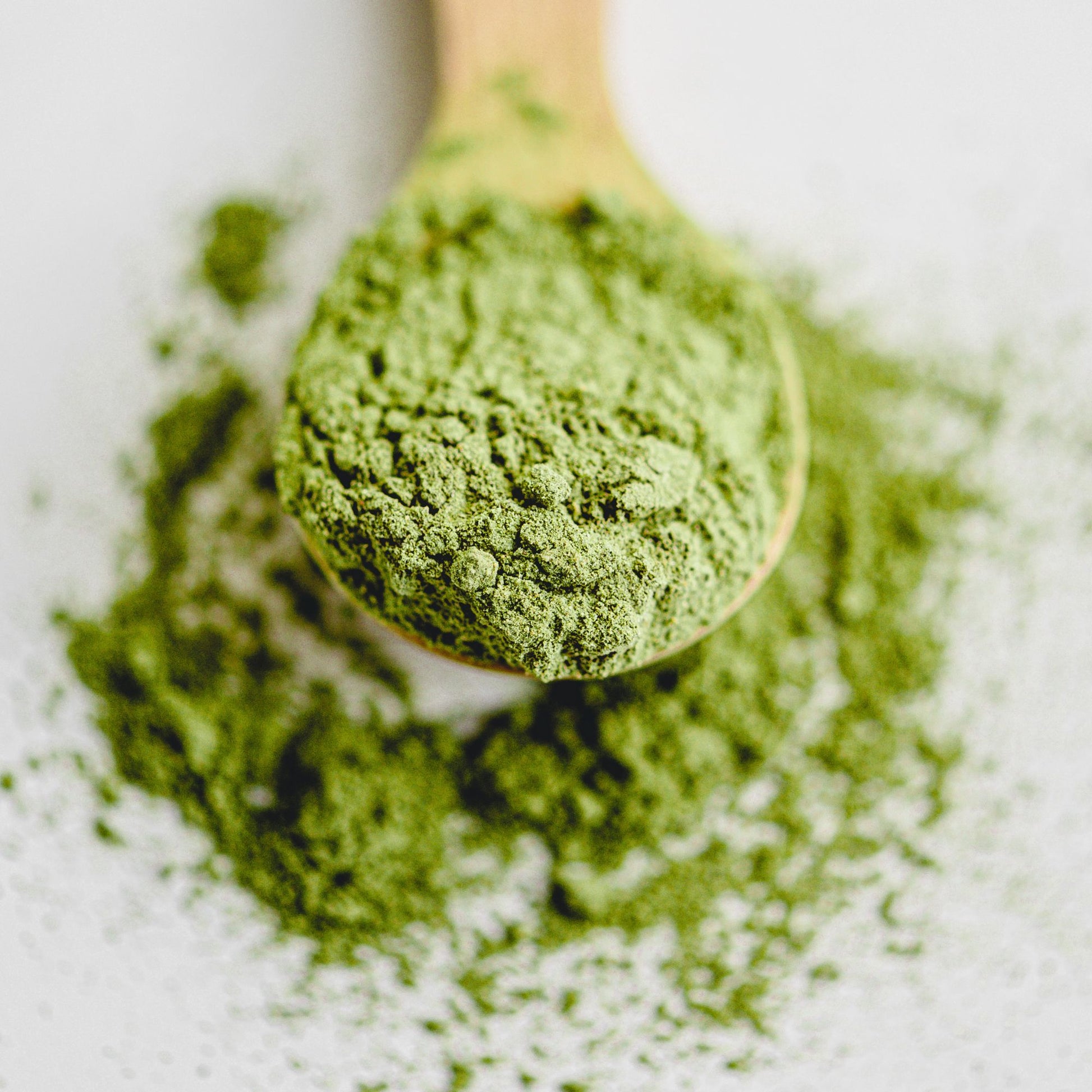 Té Matcha Culinario Orgánico - Tienda Online de Productos Naturales y Ecológicos