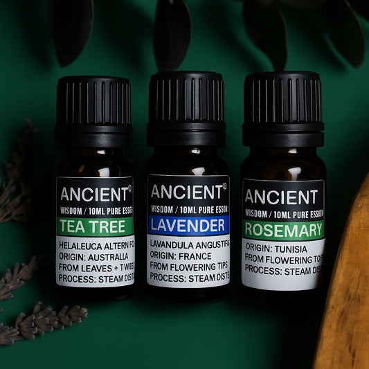 Conjunto de aceites esenciales de lavanda, árbol de té y romero de 10 ml cada uno. - Tienda Online de Productos Naturales y Ecológicos
