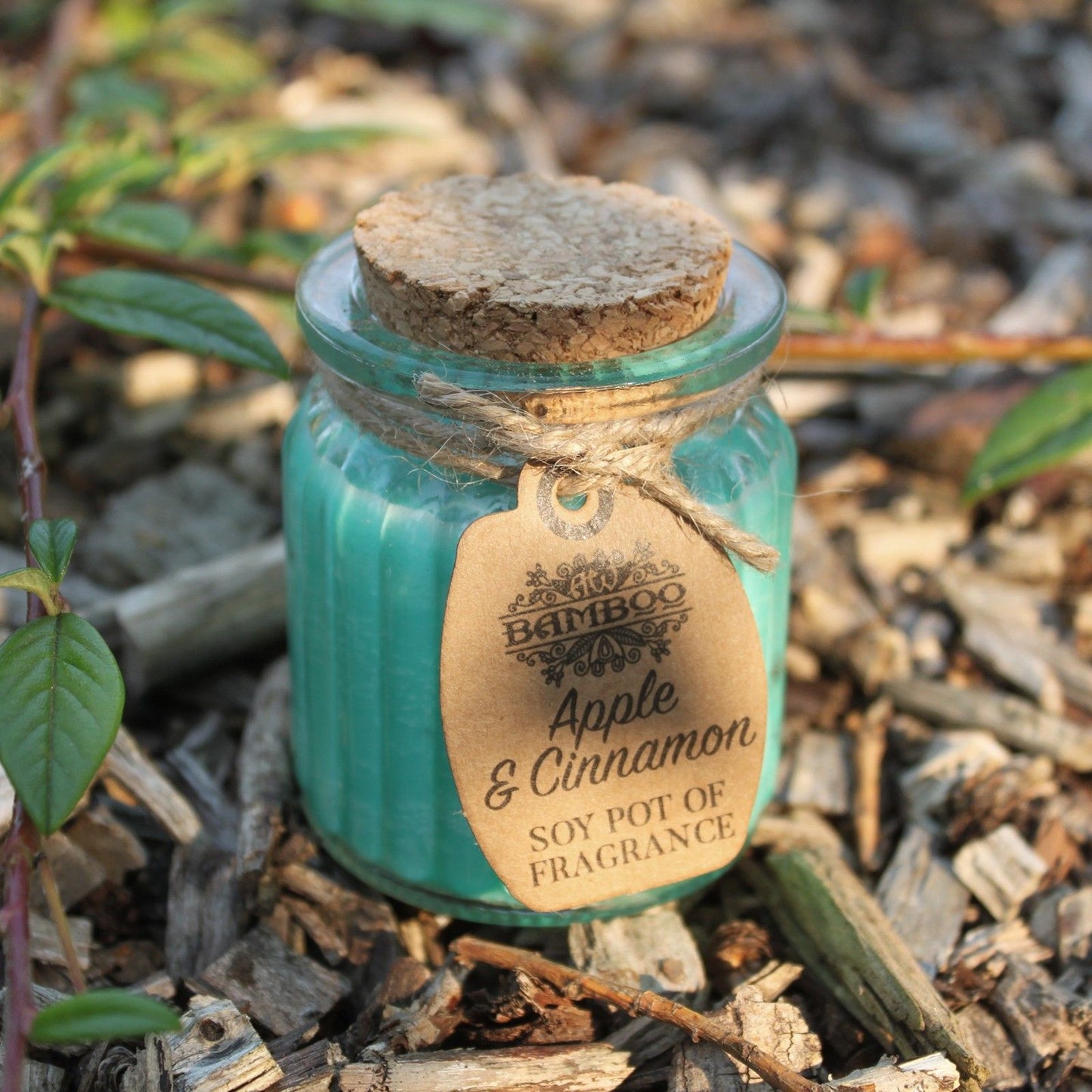 Vela Aromática de Cera de Soja en Tarro de Cristal – Ecológica y de Larga Duración - Manzana y Canela