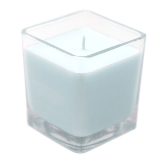 Velas de Soya sin Etiqueta- Fig & Cassis - Tienda Online de Productos Naturales y Ecológicos