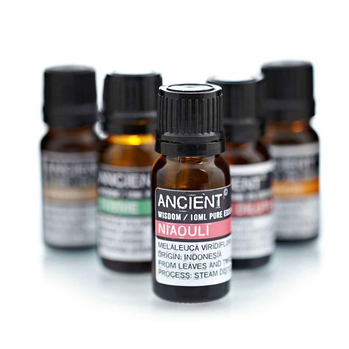 Aceite Esencial Niaouli - Tienda Online de Productos Naturales y Ecológicos