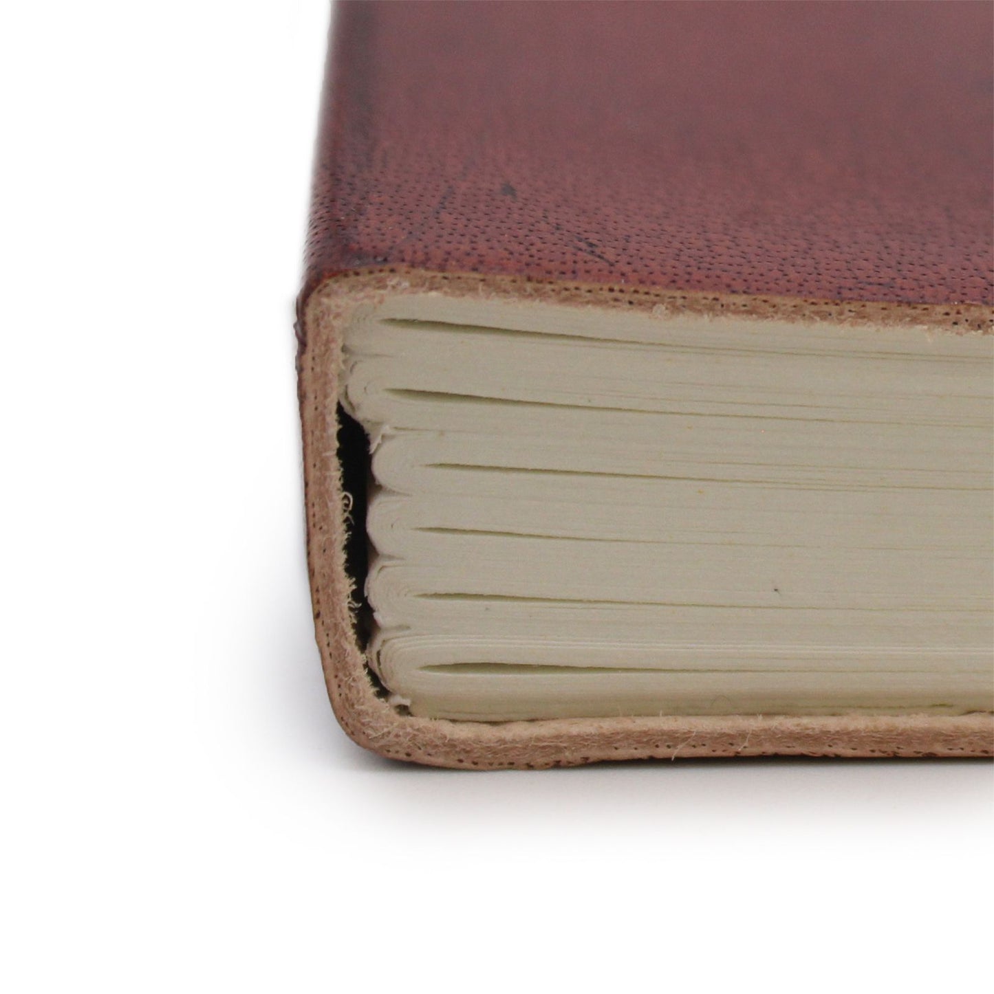 Cuaderno mediana con elástico - Quiromancia
