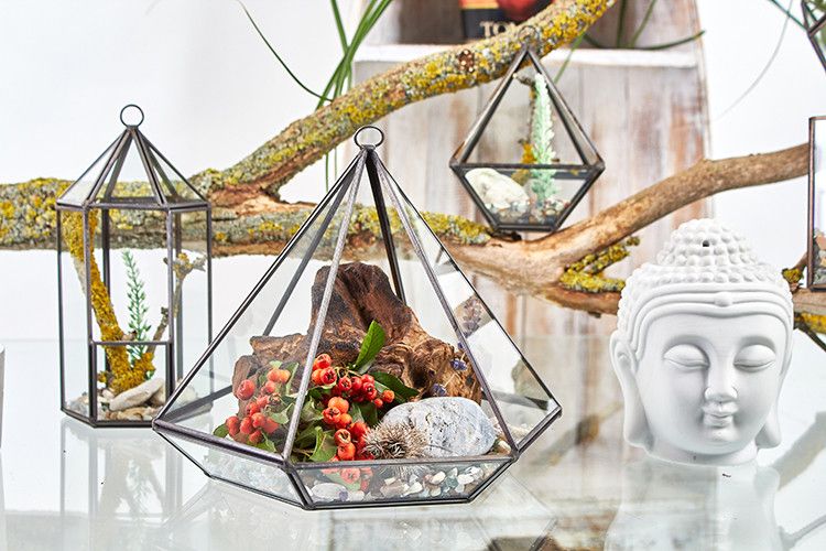 Terrario de Vidrio - Linterna - Tienda Online de Productos Naturales y Ecológicos