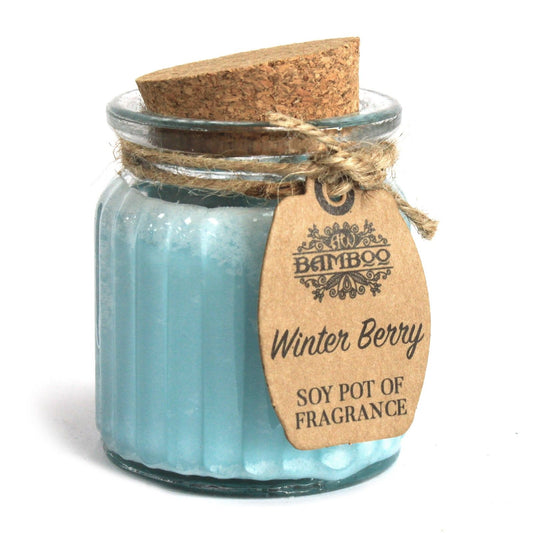 Vela Aromática de Cera de Soja – Ecológica, Natural y de Larga Duración - Baya de Invierno