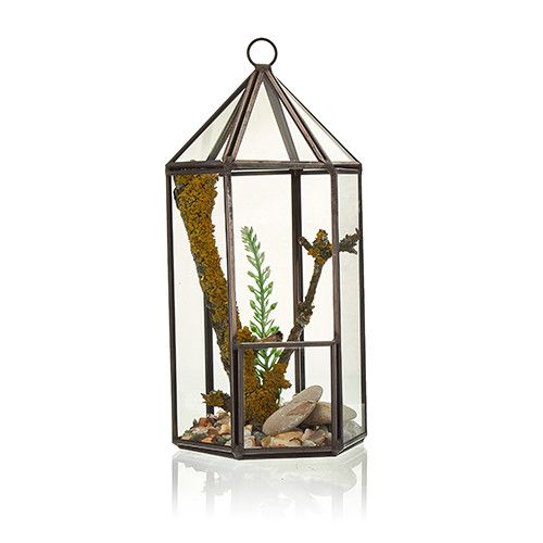 Terrario de Vidrio - Linterna - Tienda Online de Productos Naturales y Ecológicos