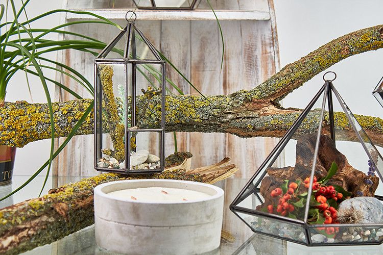 Terrario de Vidrio - Octágono Grande - Tienda Online de Productos Naturales y Ecológicos