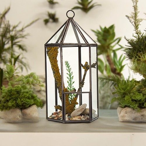 Terrario de Vidrio - Linterna - Tienda Online de Productos Naturales y Ecológicos