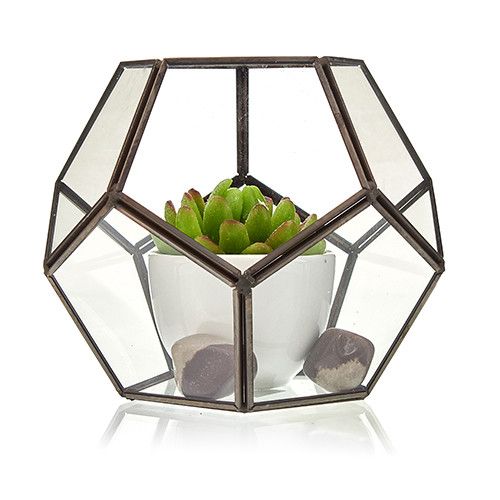 Terrario de Vidrio - Octágono Grande - Tienda Online de Productos Naturales y Ecológicos