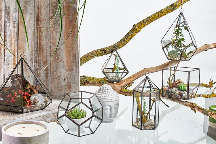 Terrario de Vidrio - Octágono Grande - Tienda Online de Productos Naturales y Ecológicos
