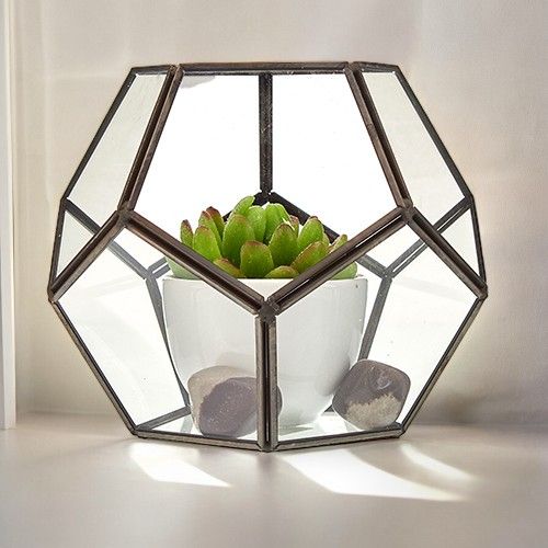 Terrario de Vidrio - Octágono Grande - Tienda Online de Productos Naturales y Ecológicos